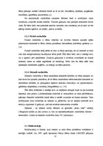 Referāts 'Ielas bērni Rīgā', 10.