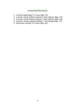 Referāts 'Latviešu valoda - stila izpratne', 13.