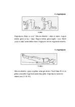 Referāts 'Deju terapijas metožu izmantošana pamatskolā', 26.