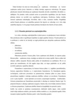 Referāts 'Uzņēmuma finansiālā analīze', 6.