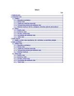 Referāts 'Risku analīze a/s "BTB"', 3.