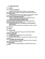 Referāts 'Risku analīze a/s "BTB"', 7.