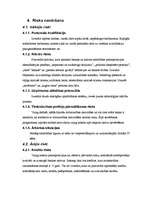 Referāts 'Risku analīze a/s "BTB"', 10.