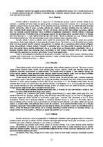 Referāts 'Persiešu kultūra', 10.