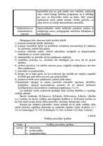 Referāts 'Individualizācijas vieta demokrātiskajā skolā', 3.