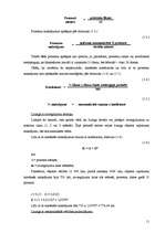 Referāts 'Līzings, tā tirgus un attīstības tendences ', 11.