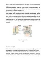 Referāts 'Ožas un garšas nozīme', 8.