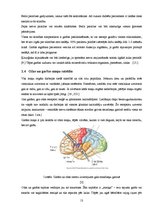 Referāts 'Ožas un garšas nozīme', 13.