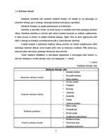 Referāts 'Vides reklāma Latvijā', 6.