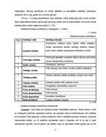 Referāts 'Vides reklāma Latvijā', 8.