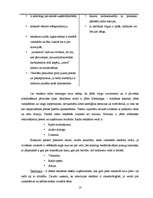 Referāts 'Vides reklāma Latvijā', 10.