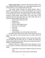 Referāts 'Vides reklāma Latvijā', 17.