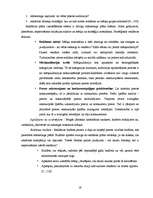 Referāts 'Vides reklāma Latvijā', 19.