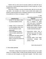 Referāts 'Vides reklāma Latvijā', 22.