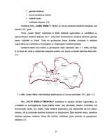 Referāts 'Vides reklāma Latvijā', 27.