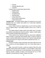 Referāts 'Vides reklāma Latvijā', 29.