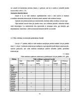 Referāts 'Vides reklāma Latvijā', 32.