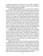 Referāts 'Vides reklāma Latvijā', 34.