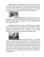 Referāts 'Vides reklāma Latvijā', 35.