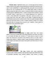 Referāts 'Vides reklāma Latvijā', 36.