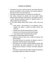 Referāts 'Vides reklāma Latvijā', 42.