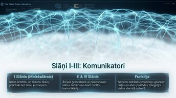 Prezentācija 'Neokorteksa arhitektūra, 6 apziņas slāņi', 3.