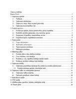 Biznesa plāns 'SIA "Me gusta" biznesa plāns', 2.