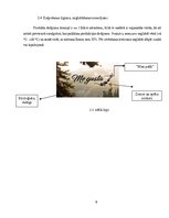 Biznesa plāns 'SIA "Me gusta" biznesa plāns', 9.