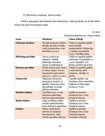 Biznesa plāns 'SIA "Me gusta" biznesa plāns', 20.