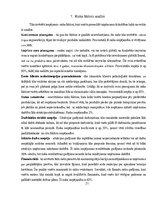 Biznesa plāns 'SIA "Me gusta" biznesa plāns', 21.