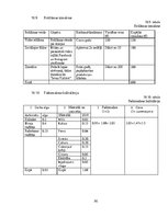 Biznesa plāns 'SIA "Me gusta" biznesa plāns', 30.