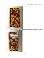 Biznesa plāns 'SIA "Me gusta" biznesa plāns', 35.