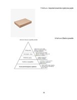 Biznesa plāns 'SIA "Me gusta" biznesa plāns', 36.