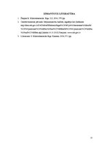 Referāts 'Mājsaimniecību budžeta analīze', 10.