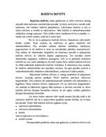 Referāts 'Valsts budžets', 11.