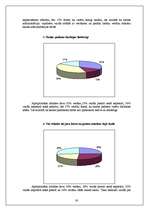 Diplomdarbs 'Efektīvas skolas kritēriji', 38.
