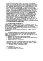 Konspekts 'Ekonomika', 17.