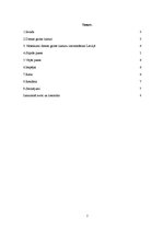 Konspekts 'Dienas gaitas lukturi', 2.