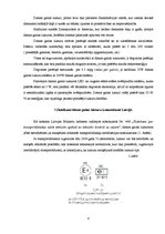 Konspekts 'Dienas gaitas lukturi', 4.