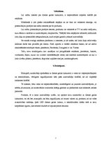 Konspekts 'Dienas gaitas lukturi', 7.