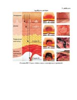Referāts 'Ķirurģiskā pacienta drošība', 38.