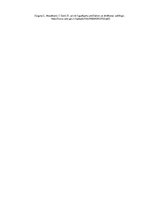 Referāts 'Ķirurģiskā pacienta drošība', 42.