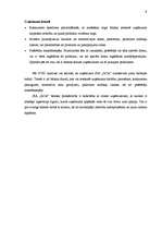 Prakses atskaite 'Prakse mārketingā un grāmatvedībā', 9.