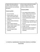 Diplomdarbs 'Pilsētas sabiedriskā transporta organizēšana un pārvalde', 17.