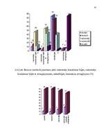 Diplomdarbs 'Pilsētas sabiedriskā transporta organizēšana un pārvalde', 82.
