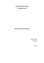 Referāts 'Rotatoru kapsulas bojājumi', 1.