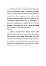 Referāts 'Rotatoru kapsulas bojājumi', 3.