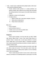 Referāts 'Rotatoru kapsulas bojājumi', 5.