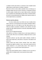 Referāts 'Rotatoru kapsulas bojājumi', 11.