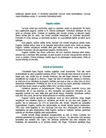 Referāts 'Latvija no 1918. līdz 1920.gadam', 6.